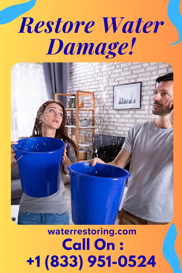 water restoration Titan Damage Recovery Pros Millstadt
